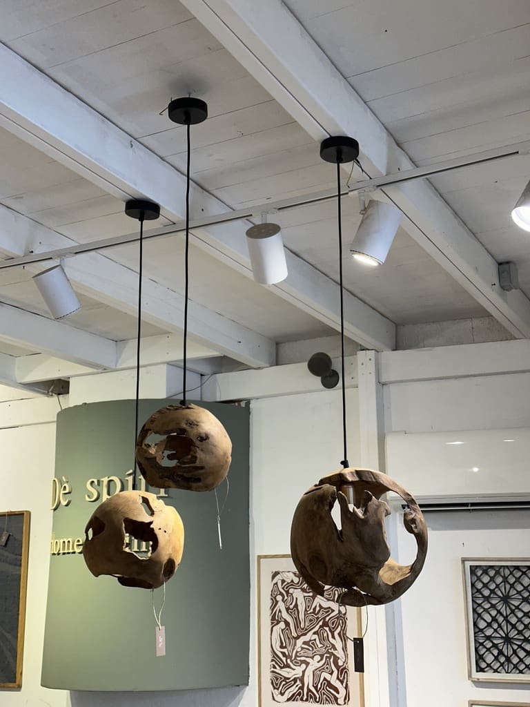 אהיל RANI S – תמונה 5