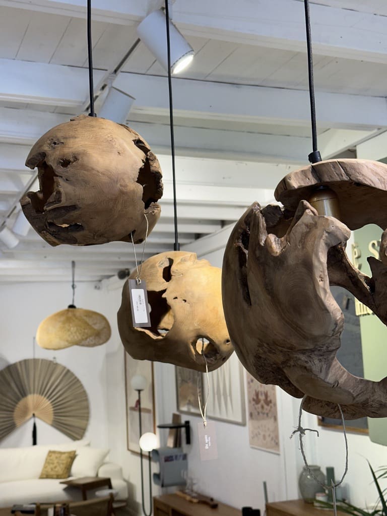 אהיל RANI S – תמונה 2