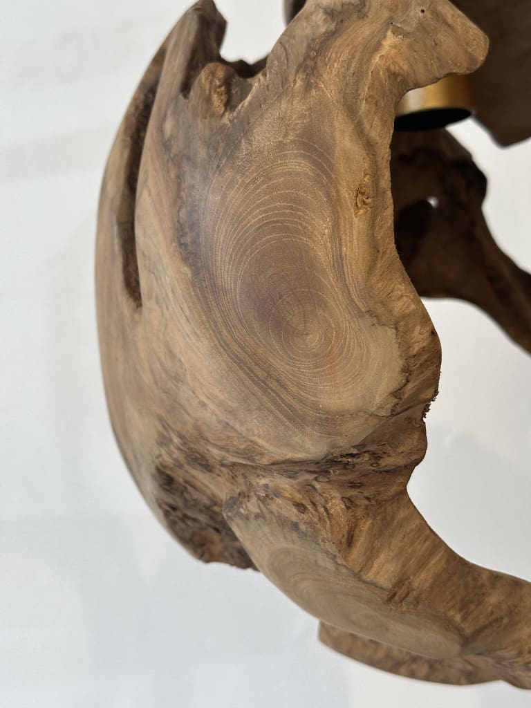 ⁦אהיל L RANI⁩ – תמונה ⁦2⁩