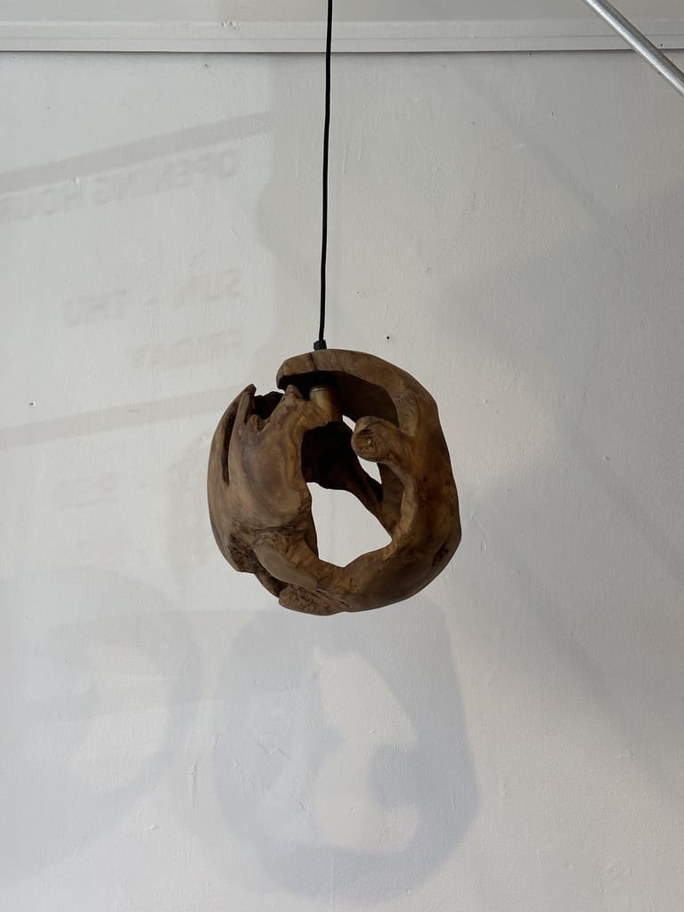 אהיל RANI M – תמונה 2