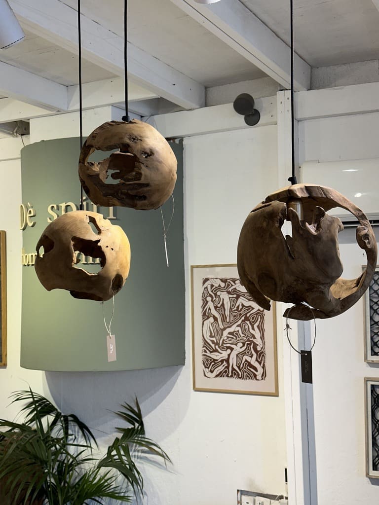 אהיל RANI S – תמונה 4