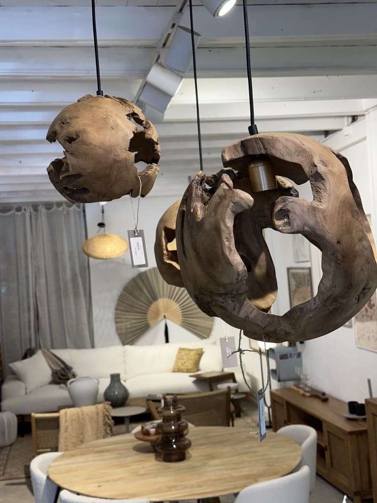 אהיל RANI S – תמונה 3