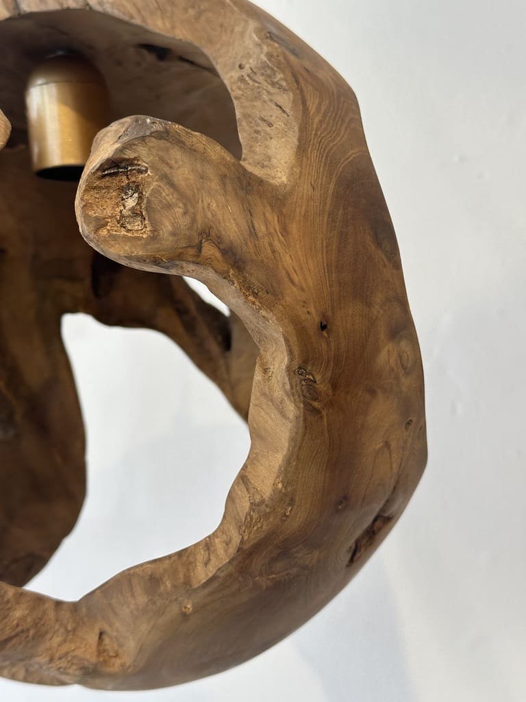 ⁦אהיל L RANI⁩ – תמונה ⁦3⁩