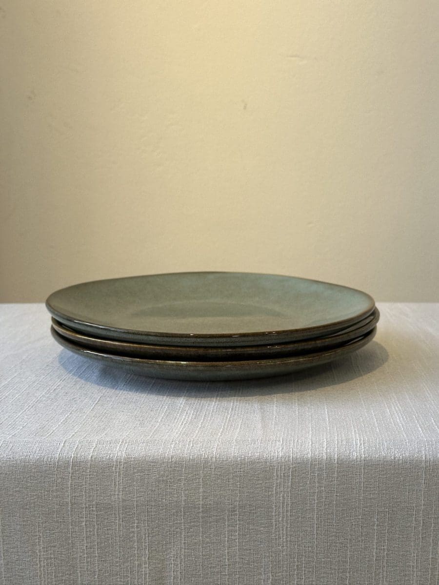 ⁦צלחת קוטר 28 - גוון ירוק⁩ – תמונה ⁦4⁩