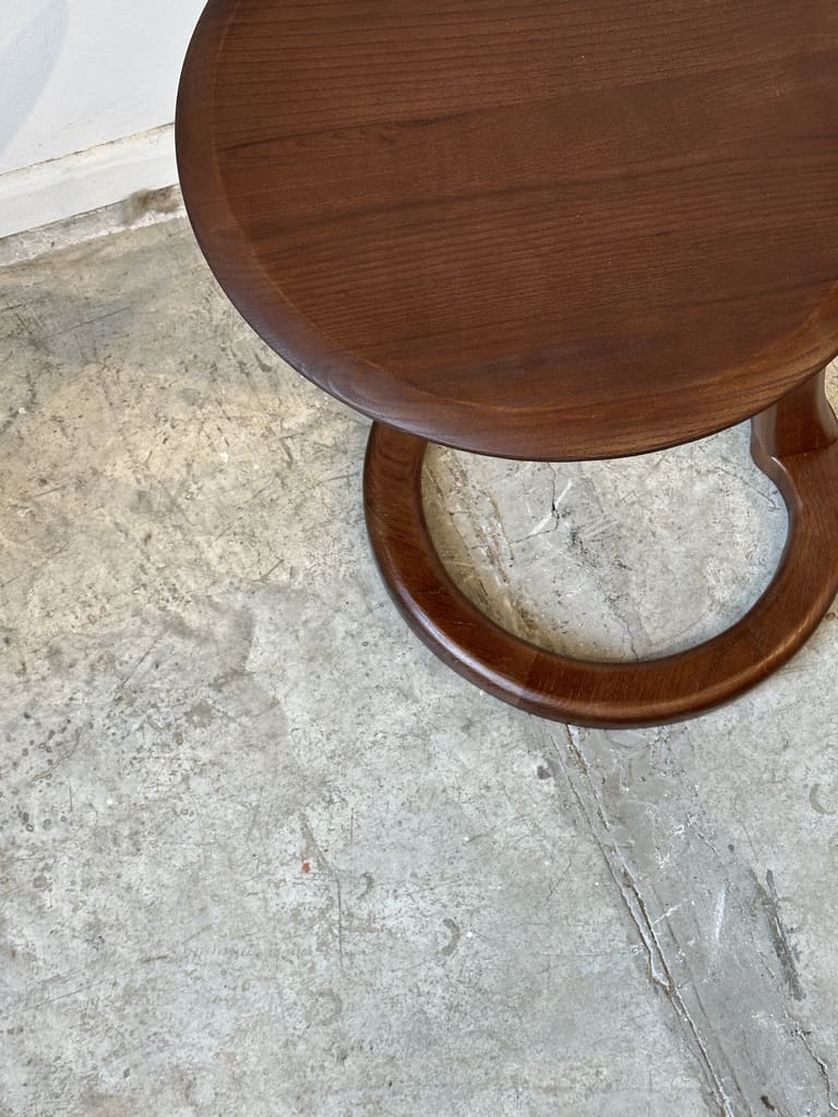 ⁦נשכן Ray אגוז⁩ – תמונה ⁦4⁩