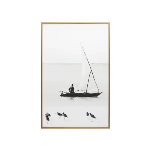 תמונה שייט רגוע