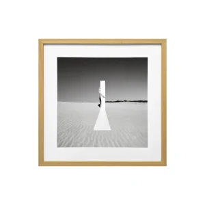 תמונה פורטל